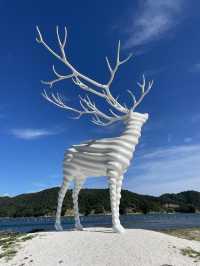 【ART🎨】　White Deer