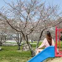 日本九州｜日本的公園總是令人著迷😍