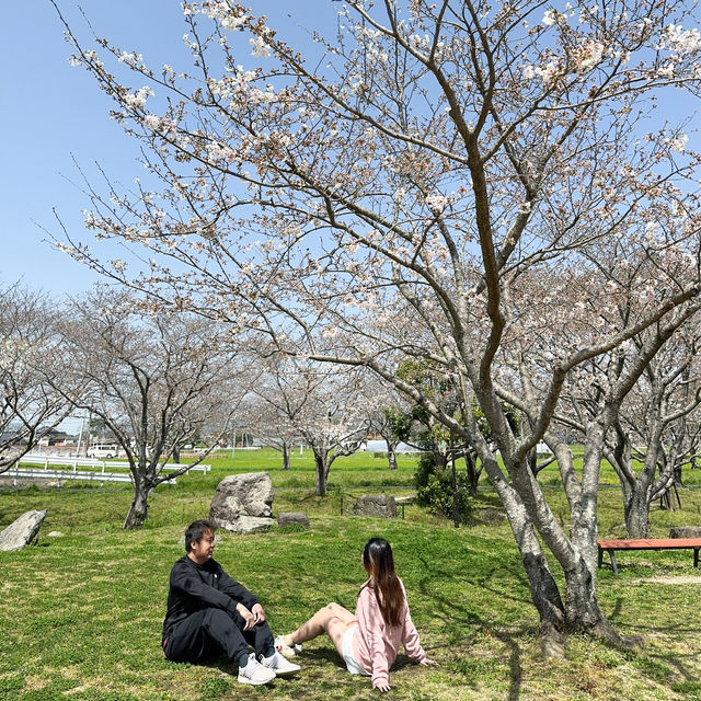 日本九州｜日本的公園總是令人著迷😍