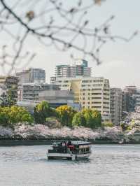 Kema Sakuranomiya Park