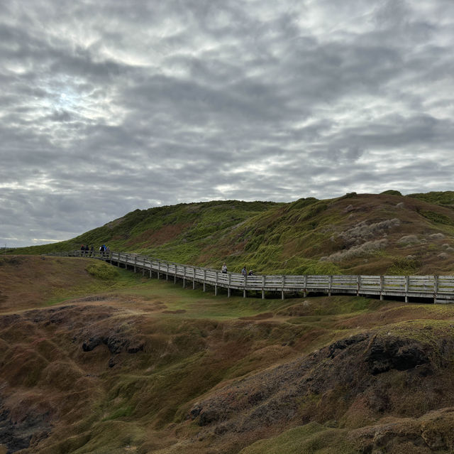 Phillip island day trip