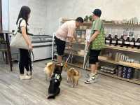 【🏭香港南豐紗廠🏭】藝術展覽、工作坊、特色店舖，限時活動！週末必探索！