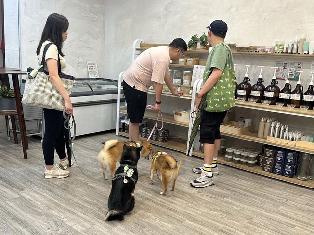 【🏭香港南豐紗廠🏭】藝術展覽、工作坊、特色店舖，限時活動！週末必探索！