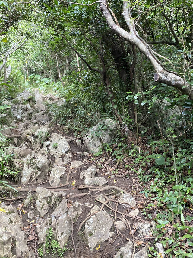 【沖縄】沖縄本島で山登り！