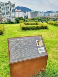 도심에서 즐기는 초록동산 고분군💚