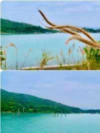 【大嶼山】欣澳鹿頸村：浮木碼頭、港版天使之路郊遊之旅