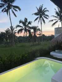 【バリ島】ライステラスに囲まれたヴィラが最高すぎた😫🌴