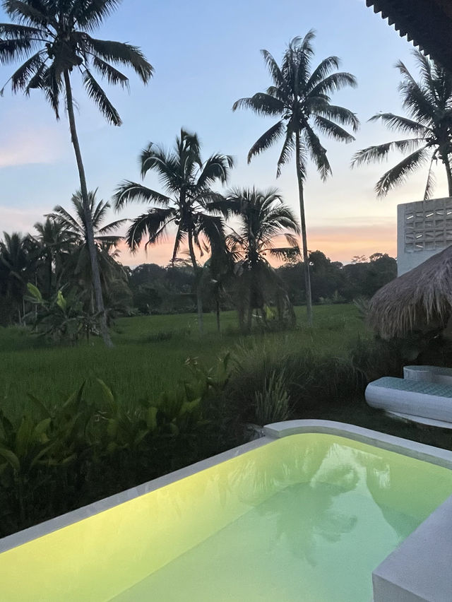 【バリ島】ライステラスに囲まれたヴィラが最高すぎた😫🌴