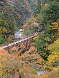 🚂 Kurobe Gorge ทางรถไฟสุดโรแมนติกในญี่ปุ่น