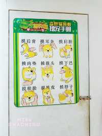 ⭐️東門町歡樂城又有新嘢玩🐱🐶