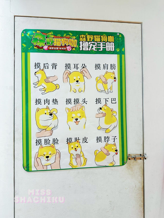 ⭐️東門町歡樂城又有新嘢玩🐱🐶