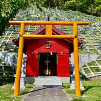 Serenity Amidst Nature at Wakkanai