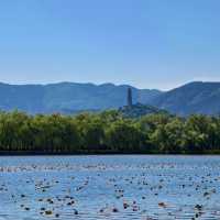 「白登河濕地公園：春季賞花，戶外活動的絕佳去處」