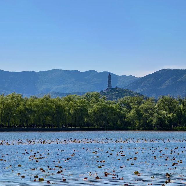 「白登河濕地公園：春季賞花，戶外活動的絕佳去處」