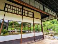 日本京都-能拍到京都塔小橋湖水倒影：涉成園