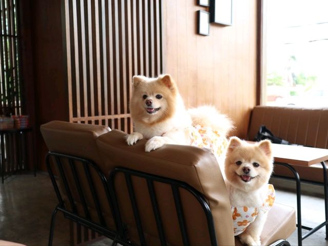 Hotto Bun คาเฟ่ที่แฮปปี้ทั้งคนทั้งน้องหมา 😊🐶