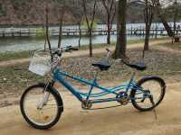 Nami Island