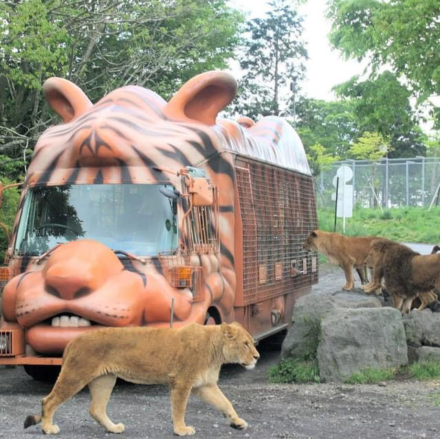 Fuji Safari Park