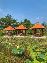 🇮🇩A Must-Visit Balinese Restaurant🇮🇩SAVE THIS💜