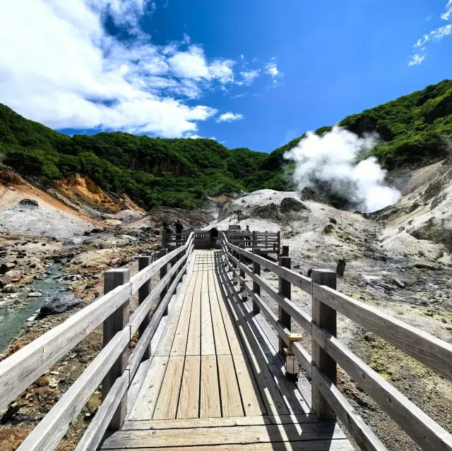 Scorching Experience at Jigokudani Observation Deck