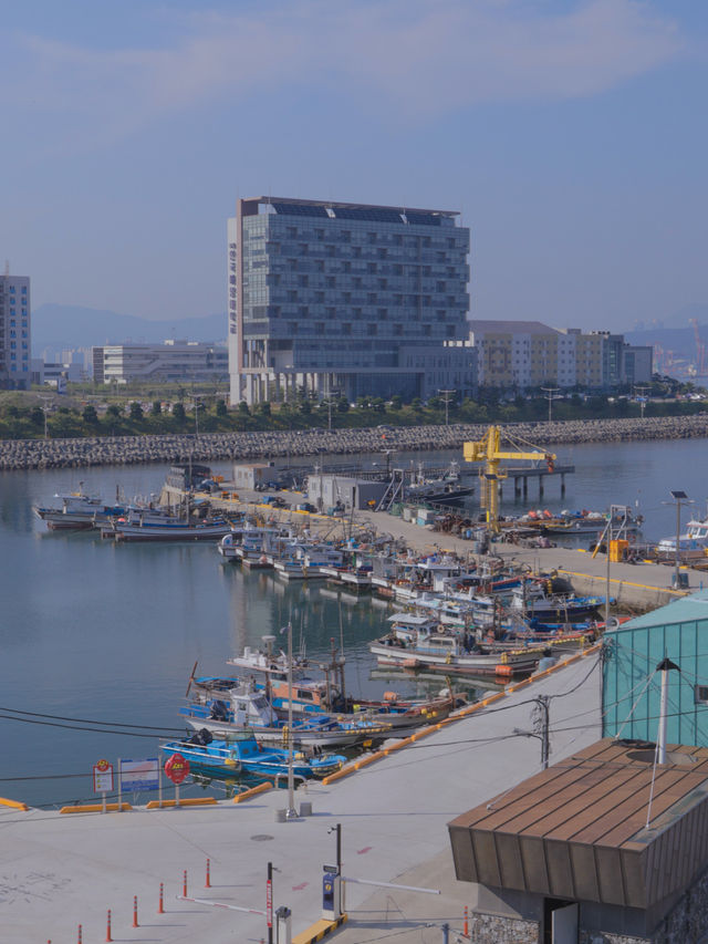 부산 영도 오션뷰 파티룸 녹티플로르 스튜디오