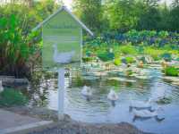 Barisut cafe’ บาริสุทธิ์ คาเฟ่ นครปฐม