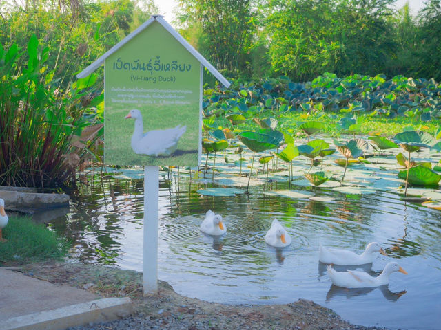 Barisut cafe’ บาริสุทธิ์ คาเฟ่ นครปฐม