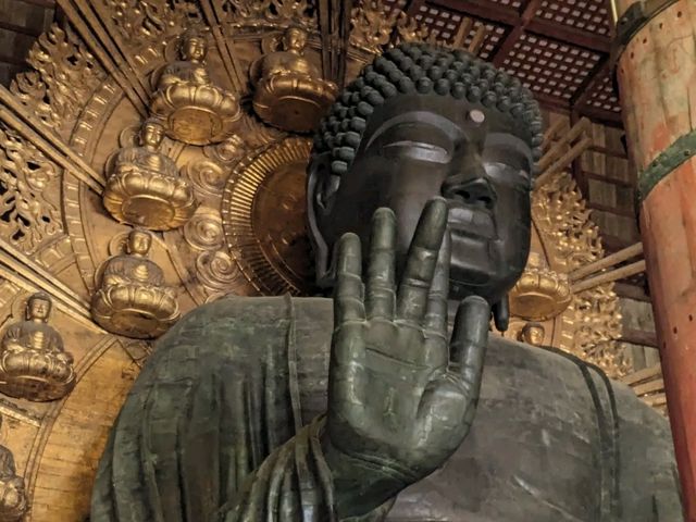 日本奈良-參拜世界遺產的青銅巨佛：東大寺