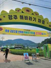 여름꽃놀이 탑티어 해바라기축제🌻
