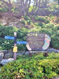 거제 수국 탑티어 저구항💜