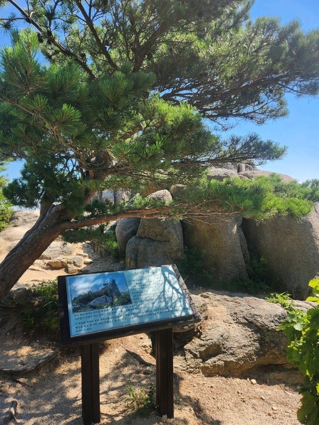 🤍엄청난 울산바위뷰를 볼 수 있어 추천하는 등산여행, "성인대"🤍