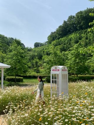 Haman Akyang Ecopark: A Year-Round Beauty Spot