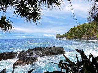 🍃 Visit Hawai'i Tropical Botanical Garden 