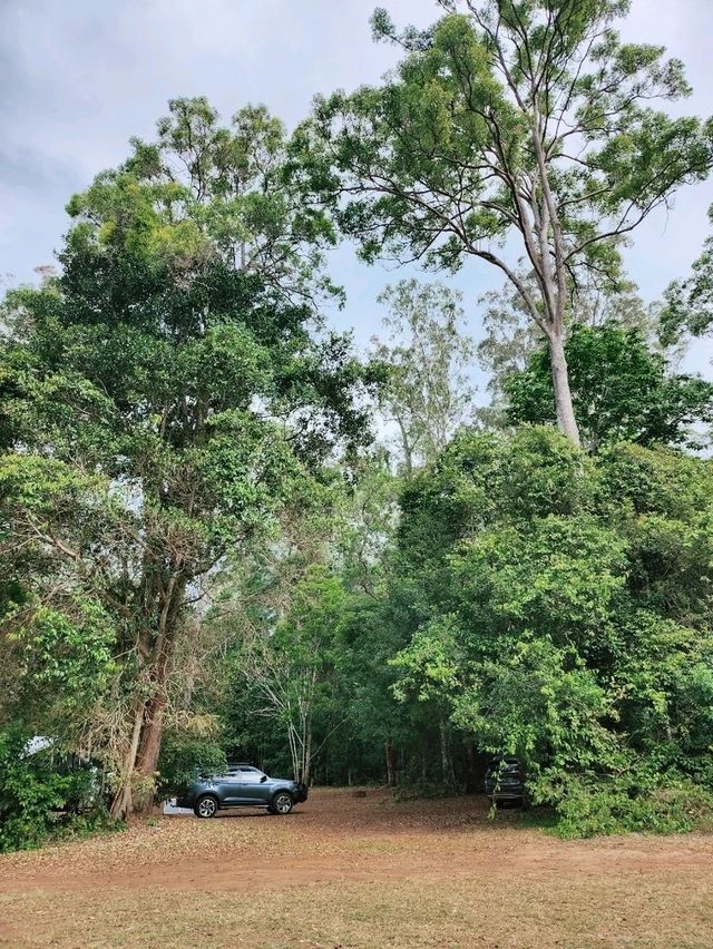 🇦🇺 Awesome Camping Site in Queensland, Australia