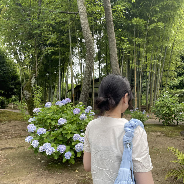 【横浜で緑を🍃】📍三溪園 (Sankeien)