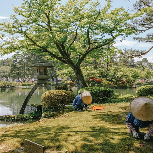 หนึ่งในสามสวนที่สวยที่สุดในญี่ปุ่น