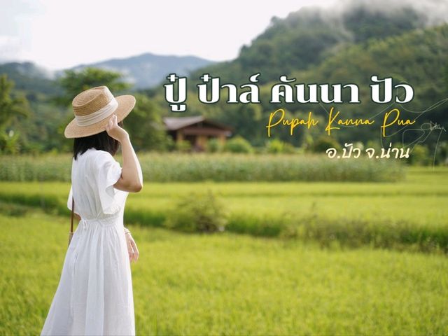 ปู๋ ป๋าล์ คันนา ปัว - Pupah Kanna Pua น่าน