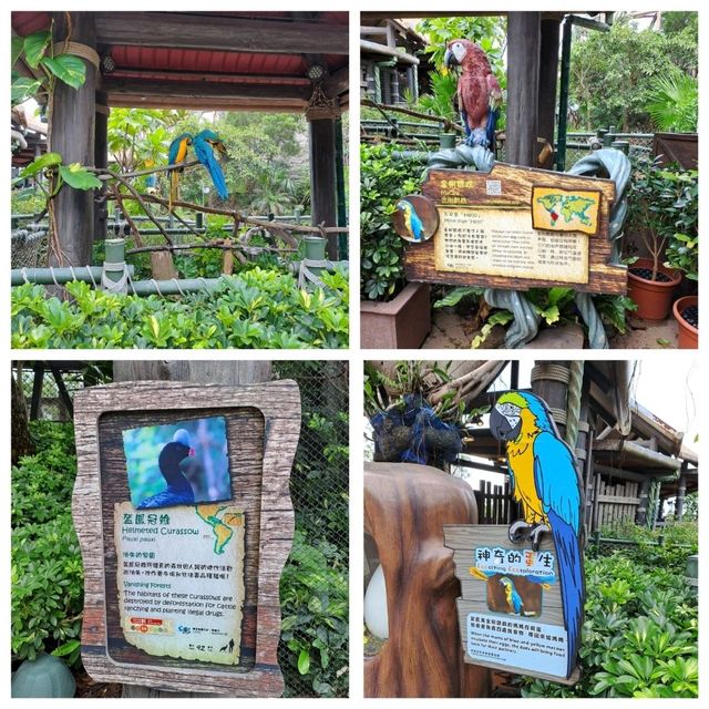 海洋公園遊玩的個人感受