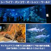 【バンコク】暑い日はここに行こう！