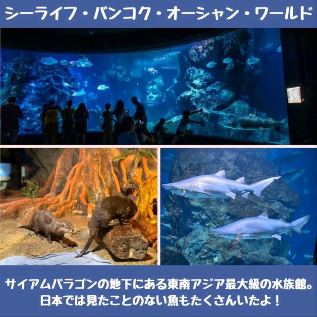 【バンコク】暑い日はここに行こう！