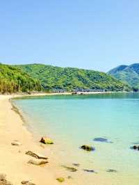 【福井】丹生白浜海水浴場で沖縄気分！🌴🌺𓈒𓏸