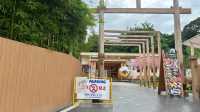 kyoto shi cafe เชียงราย