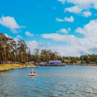 Dalat: Vietnam's Enchanting Highlands Retreat