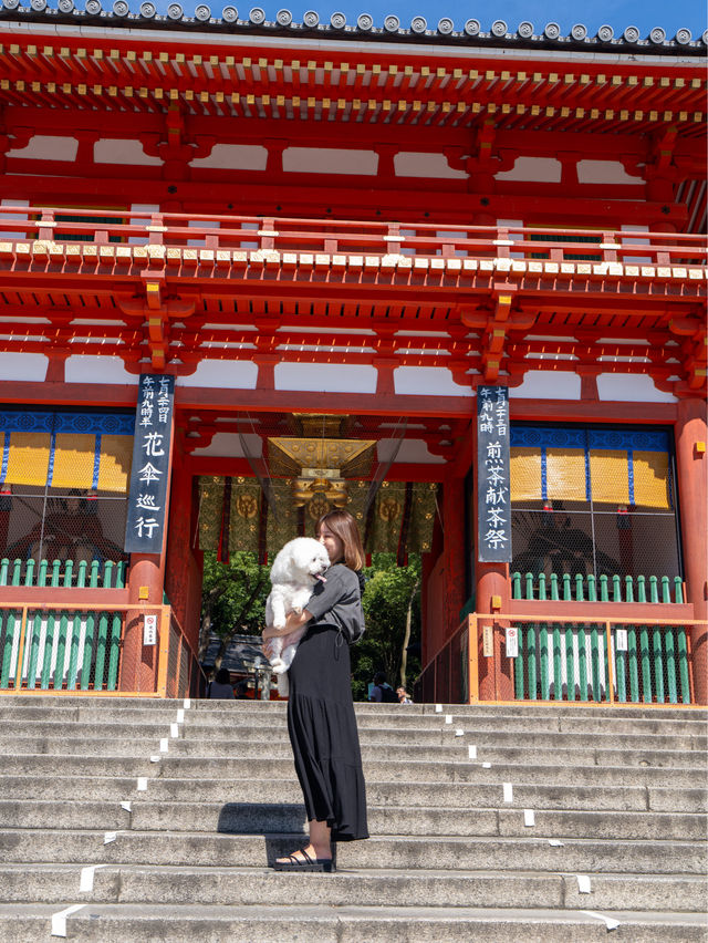 🐶OK✨知ってた？八坂神社に美容水がある✨気になるところに浸すだけ✨この夏ぜひ💫