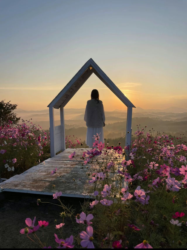 絶景に出逢える！本当は教えたくない天空の花園🌸