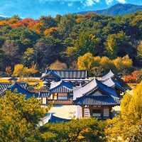 Tranquility at Chungcheongnam-do, South Korea 🇰🇷🌿