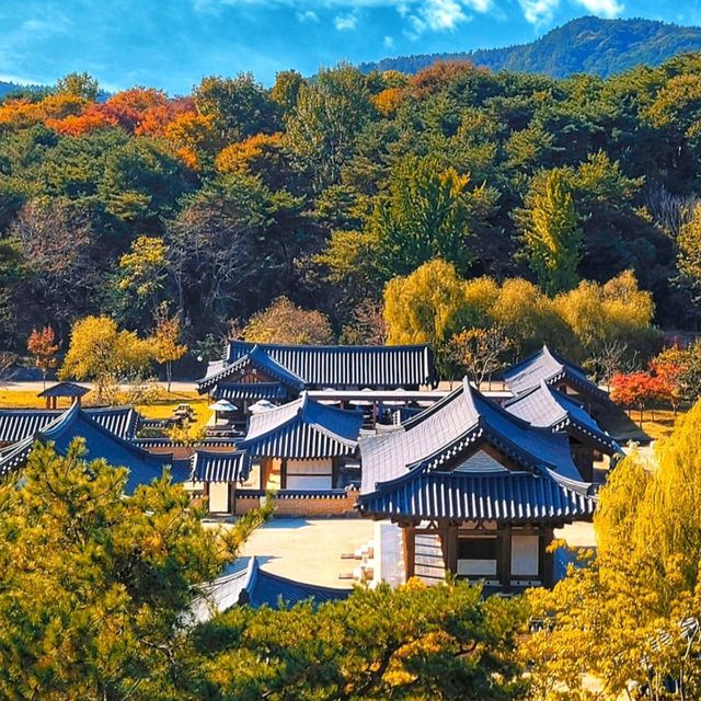 Tranquility at Chungcheongnam-do, South Korea 🇰🇷🌿