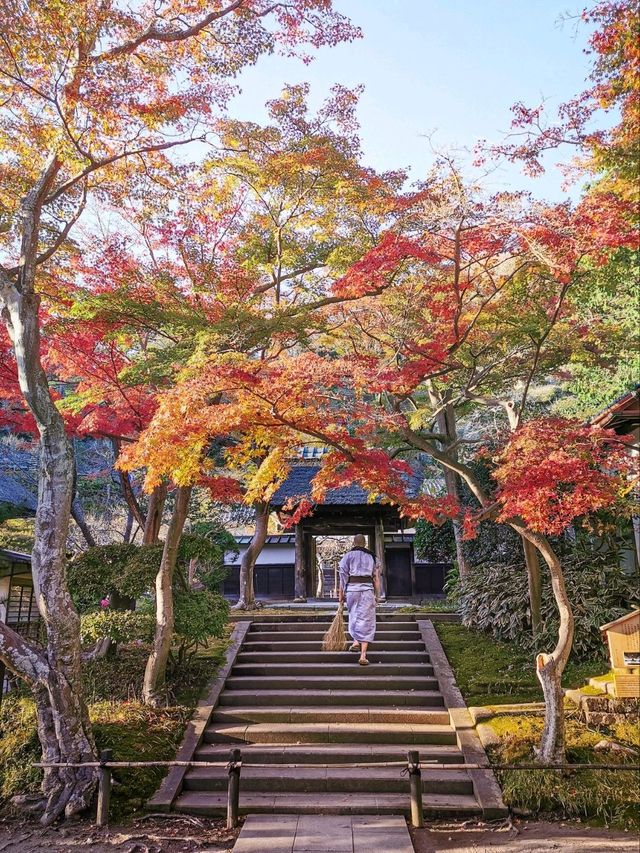 【円覚寺】北鎌倉