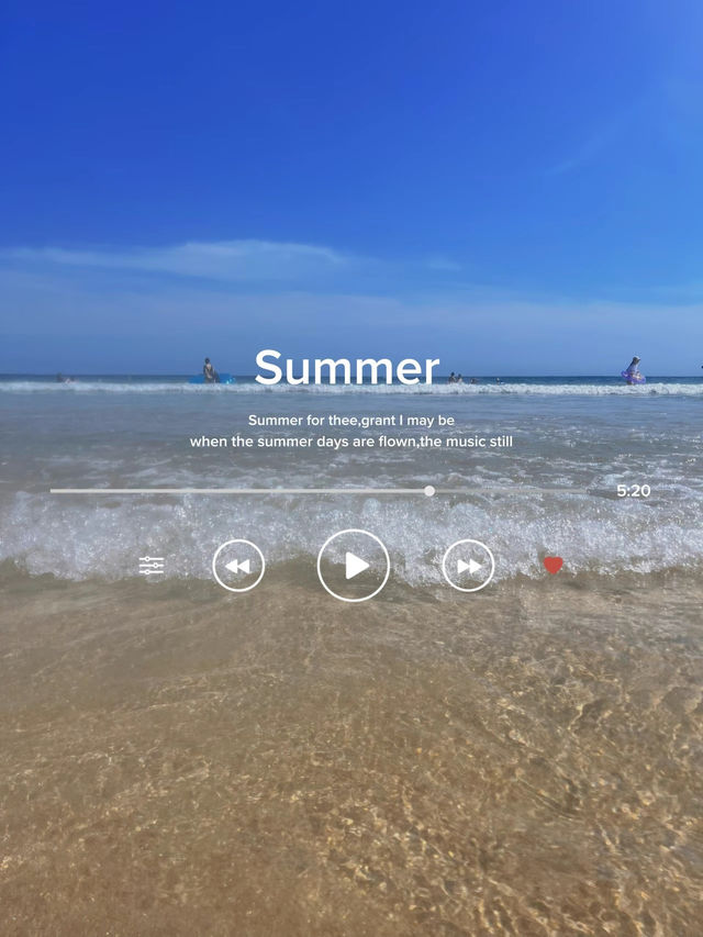 【千葉】夏におすすめ💙東京から2時間の楽園