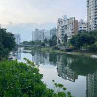 Punggol Park: A Tranquil Oasis in the Heart of Singapore 🇸🇬